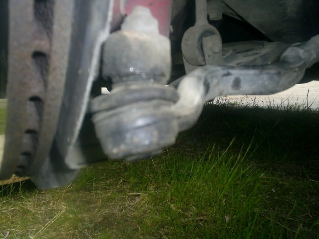 bilder086.jpg