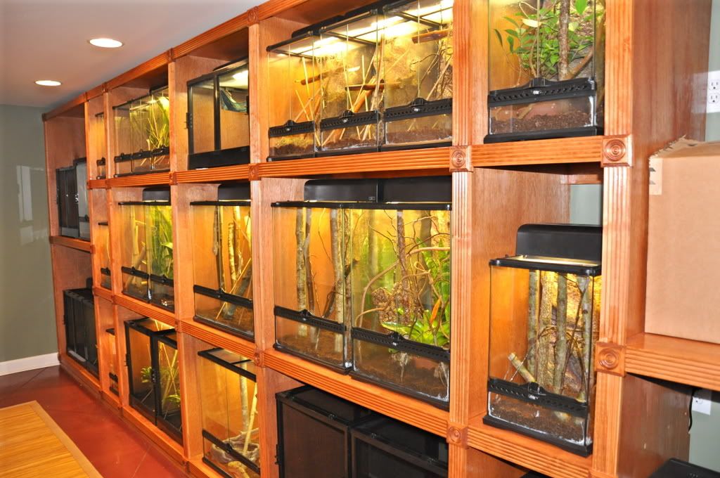 Finishedreptileroom009.jpg