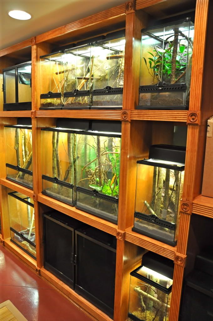 Finishedreptileroom014.jpg