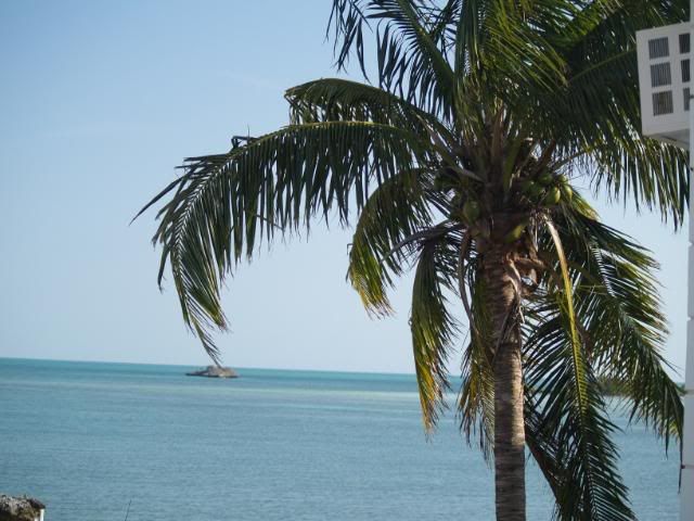 grandcay2009049.jpg