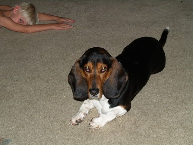 spear2008.jpg