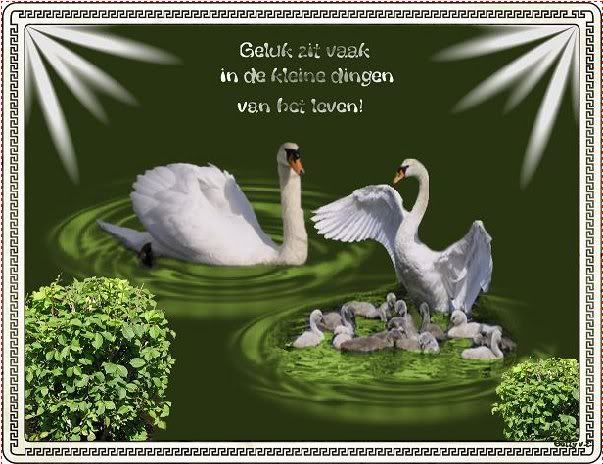 geluk.jpg geluk image by godsangeltje