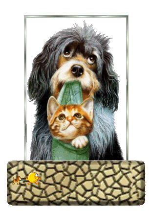 LIMPACERTA.gif picture by GAVIOTALIBERTAD