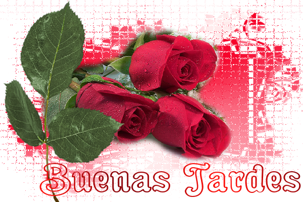 rosa.png picture by GAVIOTALIBERTAD