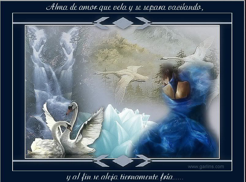 Image20.jpg picture by GAVIOTALIBERTAD