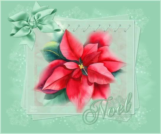 poinsettia_noel_header2-1.jpg picture by GAVIOTALIBERTAD