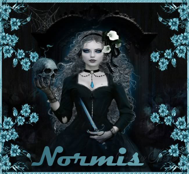 Image1normis.jpg picture by GAVIOTALIBERTAD