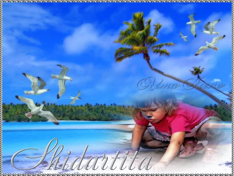 Image8tagshidartita.jpg picture by GAVIOTALIBERTAD