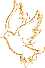 gold_dove.gif picture by GAVIOTALIBERTAD