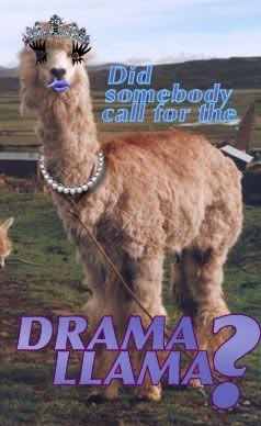 DramaLlama02.jpg