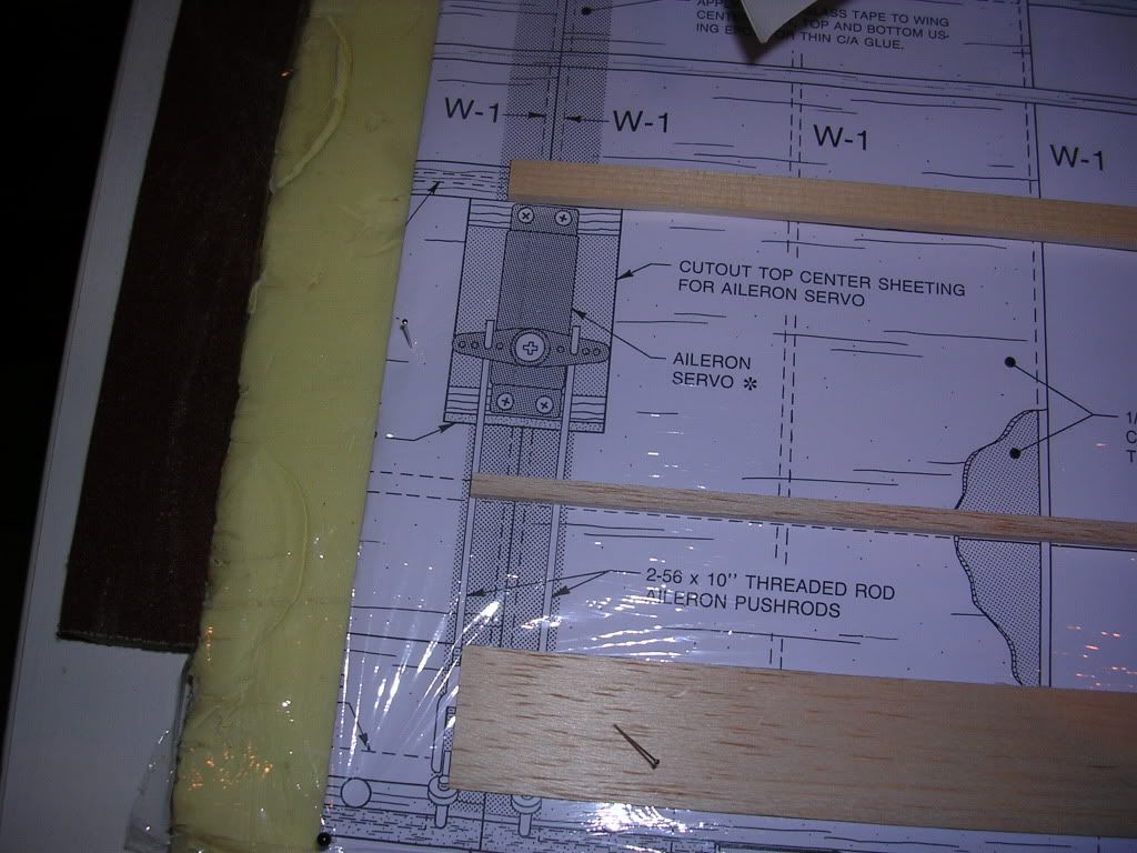 DSCN4681.jpg