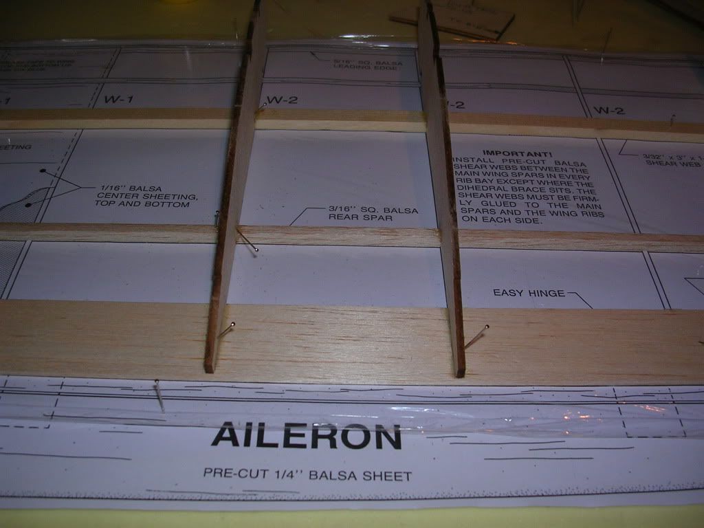 DSCN4688.jpg