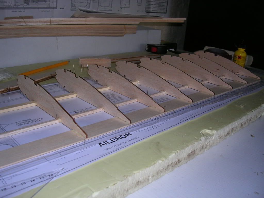 DSCN4689.jpg