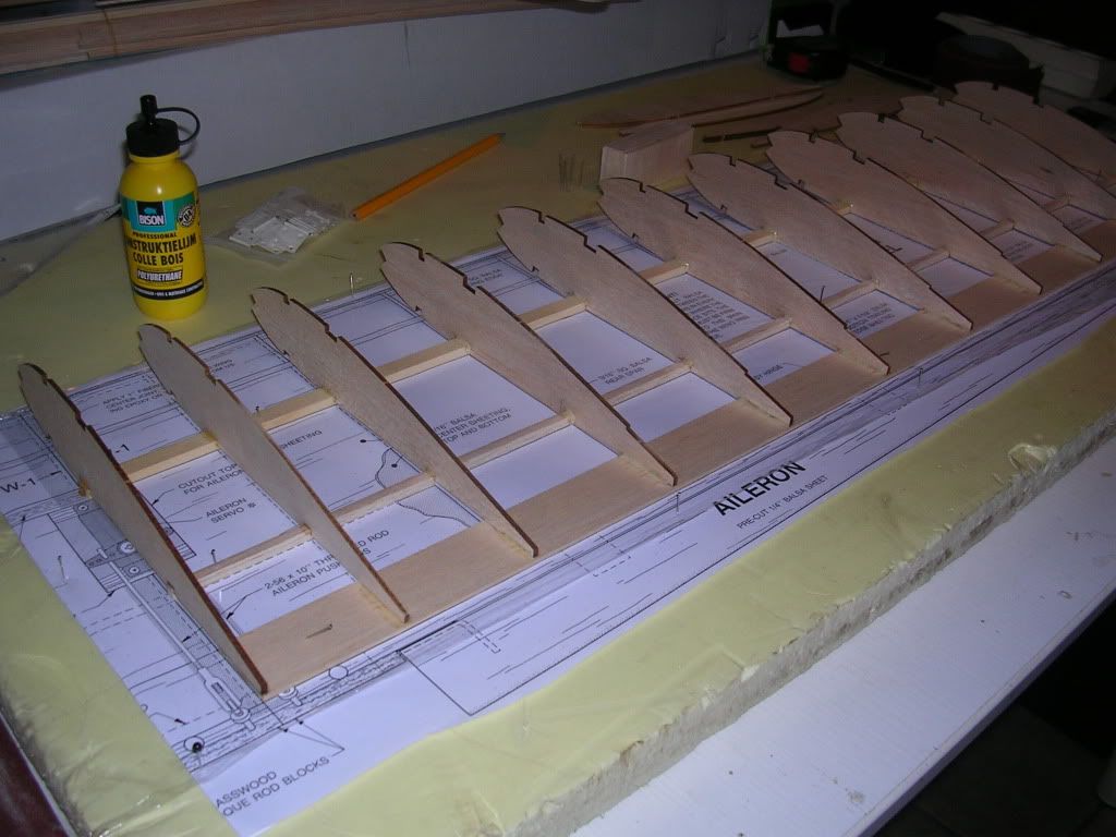 DSCN4693-1.jpg