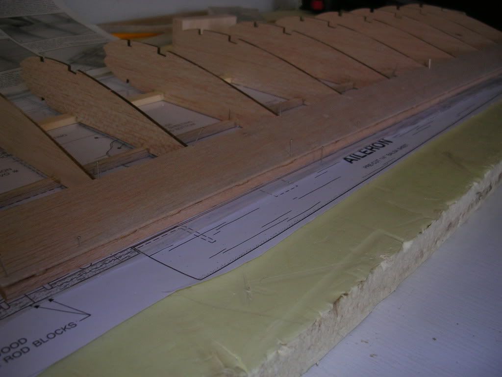 DSCN4694.jpg
