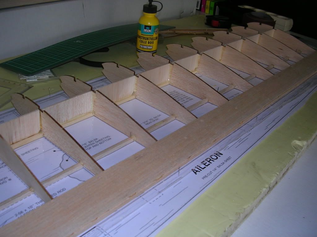 DSCN4695.jpg