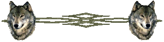 Wolf Boarder Image