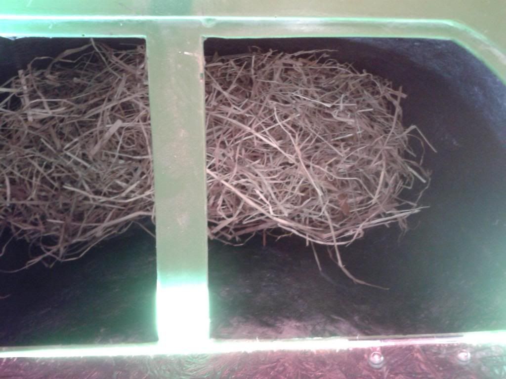 20130704_183346.jpg