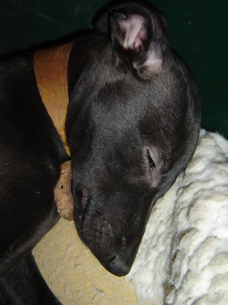 DSC02099.jpg