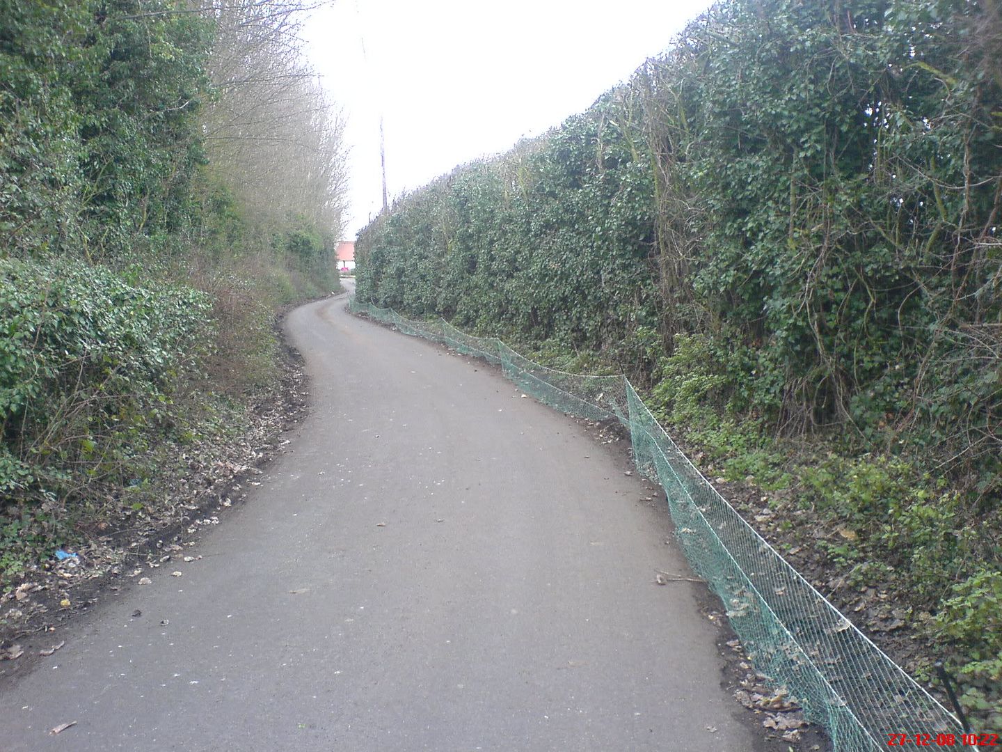 DSC02711.jpg