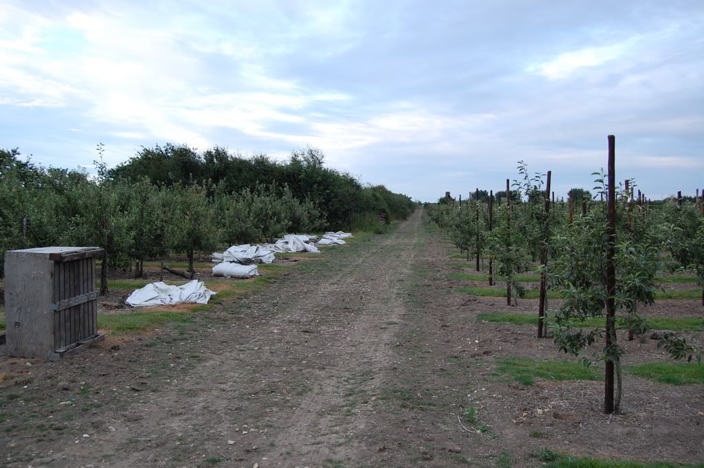 DSC_0275.jpg