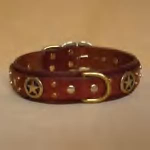 The Griffin Collar