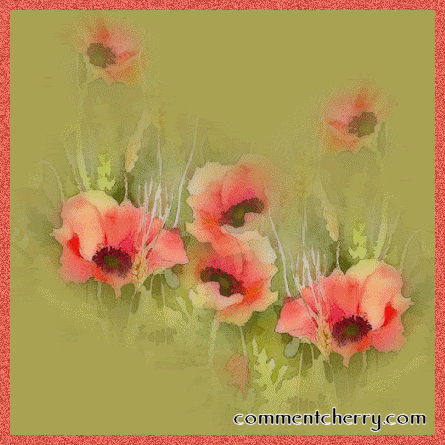 Flowers Pictures, Images and Photos