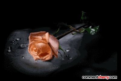 f21.gif