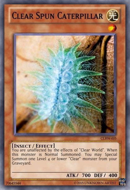 ClearSpunCaterpillar.png_zpsocvburej.jpe