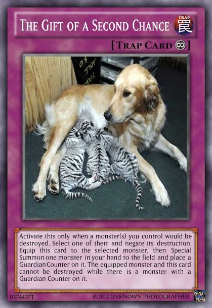 SecondChance_zps15e4fa69.jpg