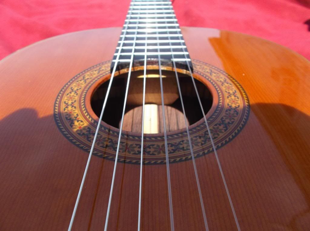 Fs C.f. Martin sigma scr8 rosewood guitar The Acoustic Guitar Forum