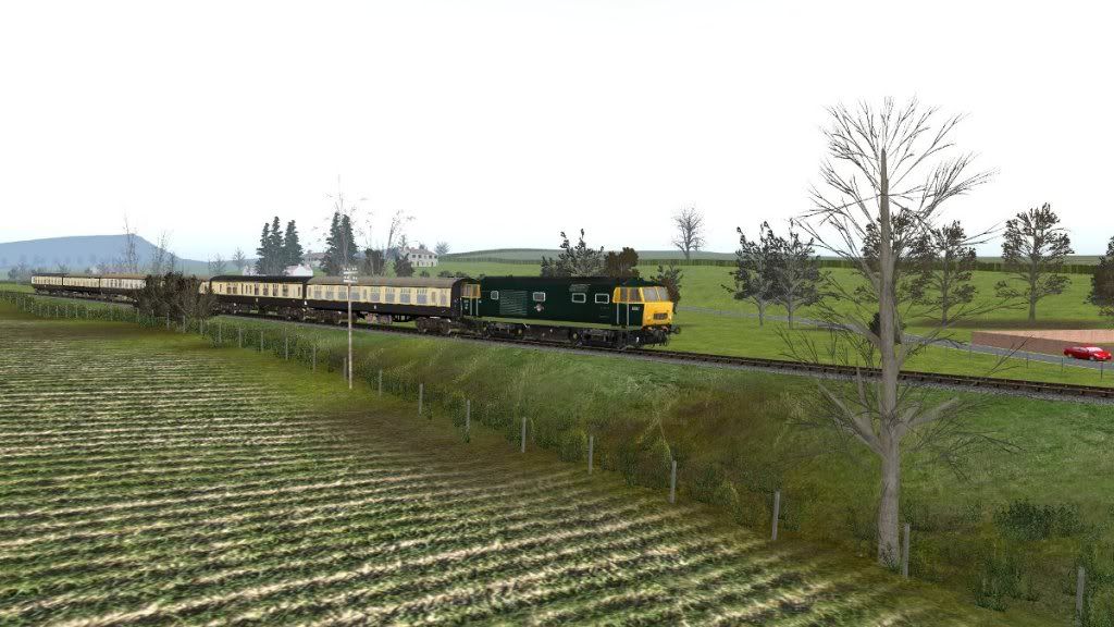 hymek2.jpg