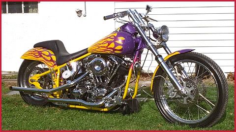 scriptographix Pictures, Images and Photos