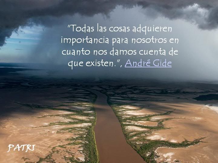 LA VIDA Pictures, Images and Photos