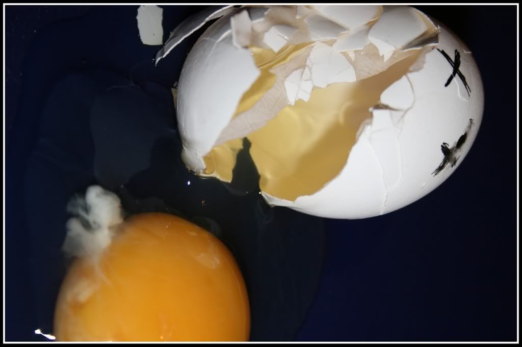 cracked egg Pictures, Images and Photos