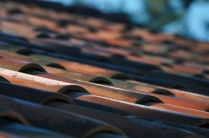 Frost on roof December 31st