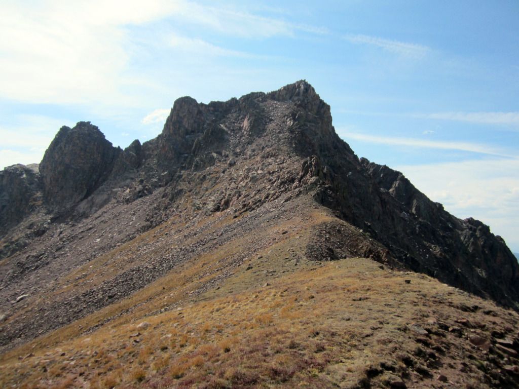 width=800