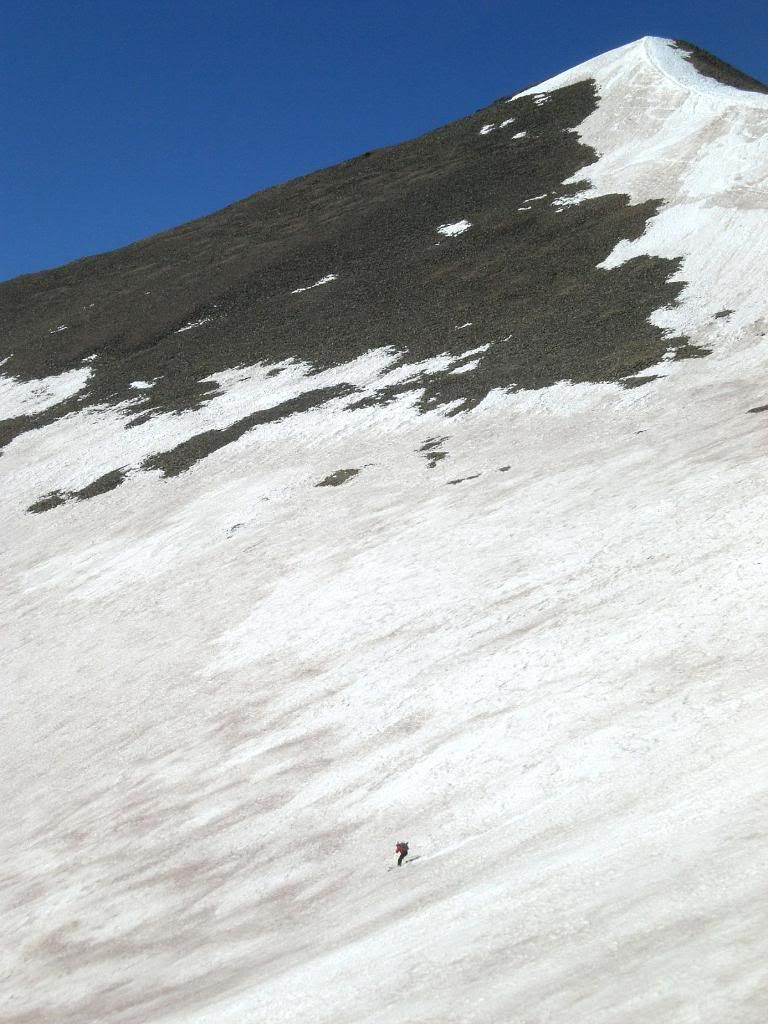 width=751