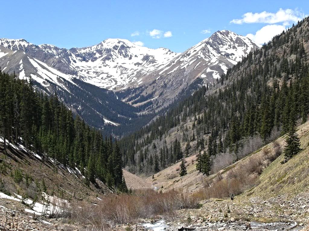 width=751