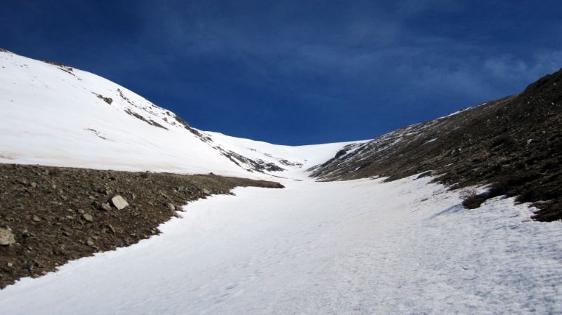 width=800