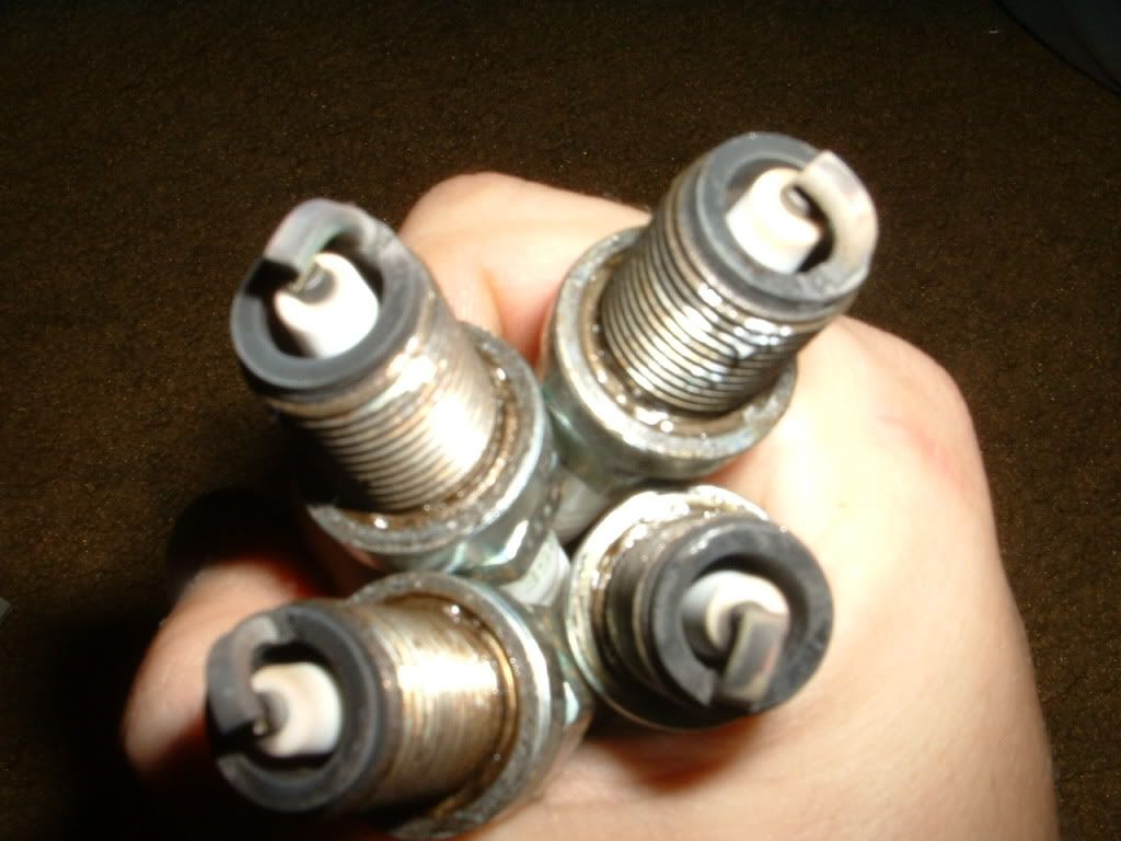 What spark plug gap? Miata Turbo Forum Turbo Kitten is watching you