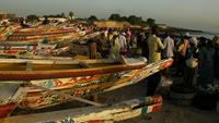 senegal fishmarket