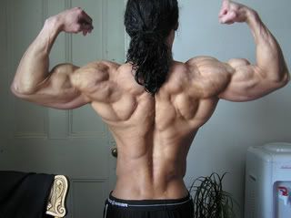 032108backbiceps-1.jpg