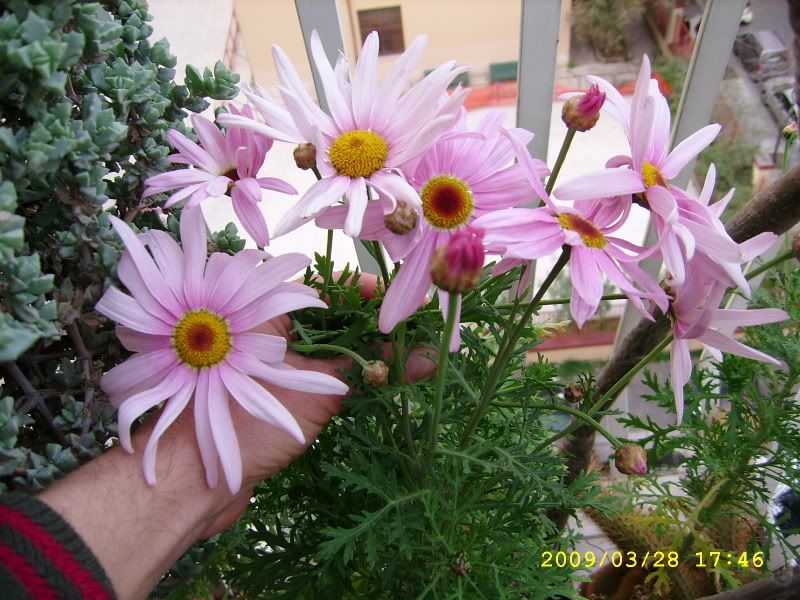 SSA50930.jpg