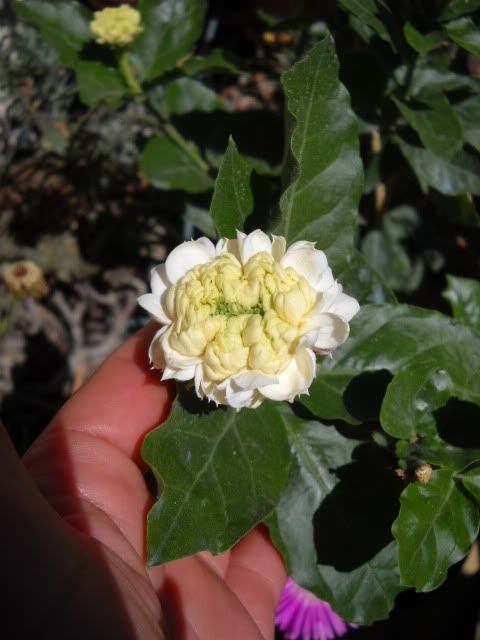 DSCN3020.jpg