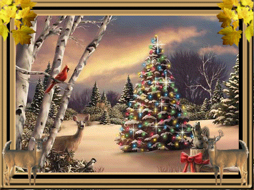 000AYSNAV033gif.gif picture by AYSHARY