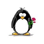 Penguin with Rose Pictures, Images and Photos