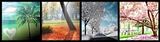 Spring-6.jpg image by shutterbug_1029