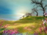 spring-1.jpg image by shutterbug_1029