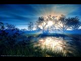 spring-12.jpg image by shutterbug_1029